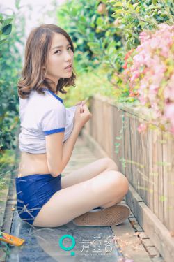 电视剧女子特案组